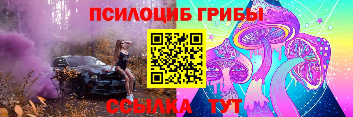 Медногорск  Псилоцибиновые грибы MAGIC MUSHROOMS  Галлюциногенные грибы Psilocybine cubensis  Вход с VPN 