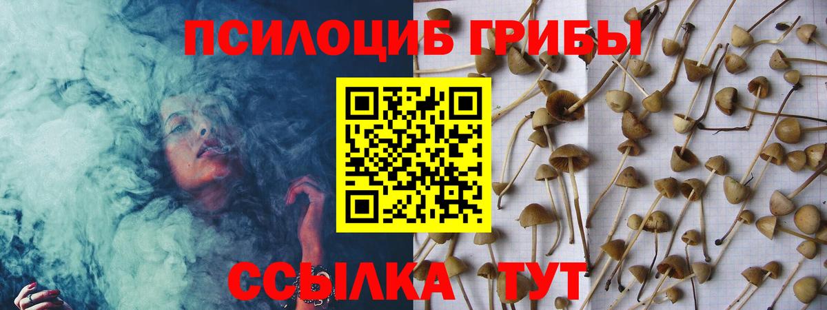 Галлюциногенные грибы Magic Shrooms Медногорск
